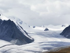 “Мэлмий мялаагч уран байгаль” зураглал              