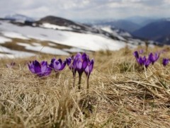 “Ирэх цагийн өнгө” уянгын зураглал