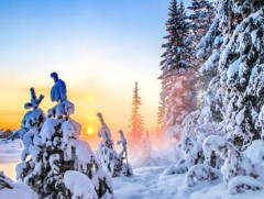 Нийт нутгийн 50 гаруй хувьд цастай байна