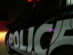 Мал хулгайлсан дөрвөн бүлгийн 18 этгээдийг илрүүлэв