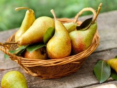 Лийр жимсний ашиг тус