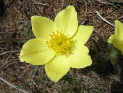 Сарын хуучийн тэнгэр