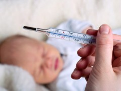 Менингококкт өвчний үед хүүхэд гэнэт өндөр халуурч, их хэмжээгээр бөөлждөг