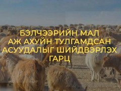“Бэлчээрийн мал аж ахуйн тулгамдсан асуудлыг шийдвэрлэх гарц” хэлэлцүүлэг
