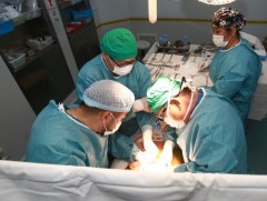 Элэг шилжүүлэн суулгах эмчилгээг 151 хүн эх орондоо хийлгэжээ