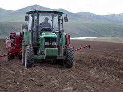 Хаврын тариалалт тавдугаар сарын эхээр эхэлнэ 