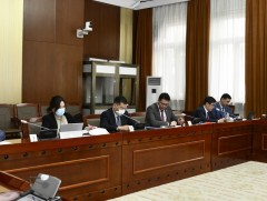 Төрөөс эмийн талаар баримтлах бодлогын хэрэгжилт, үр нөлөөний талаар гүйцэтгэлийн аудит хийсэн тай..