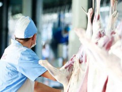 Нөөцийн мах борлуулах цэгийн тоог нэмж, хонины махны үнийг 350 төгрөгөөр буурууллаа