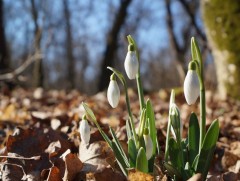 Зургаадугаар сарын цаг агаарын ерөнхий төлөв