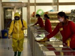 Умард Солонгост вирусний халдвар нэмэгдсээр байна