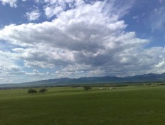 Шинэ сарын шинж