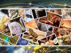 Уулган шарын домогтой уудам говийн үзэсгэлэн мину