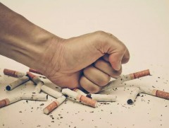 Дэлхийн тамхигүй өдөр энэ сарын 31-нд тохионо