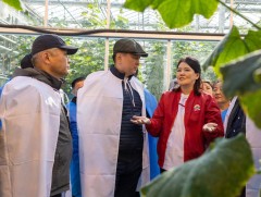 Ерөнхийлөгч У.Хүрэлсүх хүнс үйлдвэрлэгчидтэй уулзаж, тариалангийн бүс нутагт ажиллаж байна