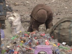 Ангилан ялгасан хогийг тээвэрлэхдээ нийлүүлээд ачдаг