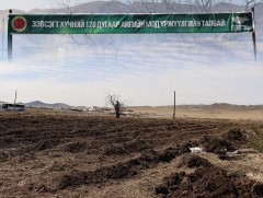 Зэвсэгт хүчний 120 дугаар анги Мод үржүүлгийн газартай болов