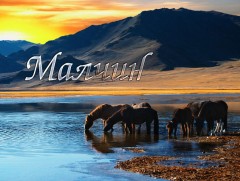 Малын тоо толгойн албан татварын хэрэгжилт