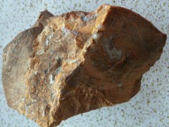 “Чүнчигноров” чулууны төрөл, онцлогийн тухай