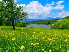 Сарын хуучийн тэнгэр