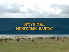 Эрүүл мал- Монголын баялаг