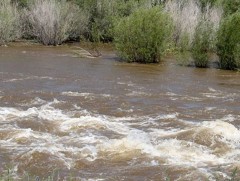 Сэрэмжлүүлэг: Томоохон гол, мөрөн үерийн аюултай түвшинг 20-25 см даван үерлэж байна