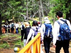 Залуу тамирчид явган аялал хийлээ