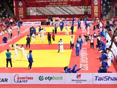 Монголын жүдочид нутгийн дэвжээнээсээ 11 медаль авлаа