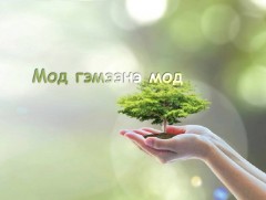 Мод буюу зурхай