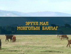 Эрүүл мал Монголын баялаг