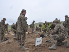 Хил хамгаалах байгууллагын “Баянчандмань мод үржүүлгийн агропарк” нээлтээ хийлээ