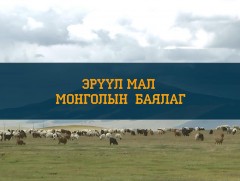 Эрүүл мал-Монголын баялаг 