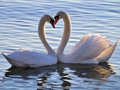 Хунтай нуур 