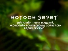 Ногоон зөрөг: Хаашаа явахыг тэнгэр мэднэ