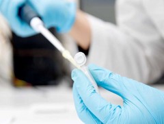 Японы судлаачид омикроны дэд хувилбарын эсрэг үр дүнтэй байгаа эмийг баталжээ