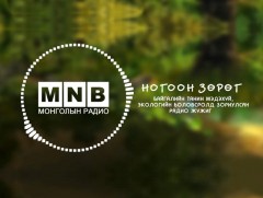 Бөөн Цагааны зүгт...