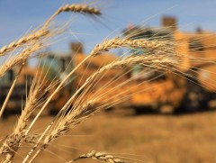 ЗГ: Ургац хураалтад иргэдийг сайн дураар оролцуулна