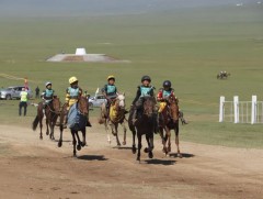 Үндэсний хурдан морьдын уралдааны эрлийз дээд насны түрүүлж, айрагдсан морьд