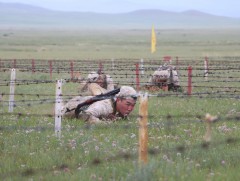 Аравт: Ойрын зайн холимог буухиа маргааш эхэлнэ