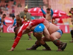 Улс, аймгийн алдар цолтой 256 бөхийн барилдаан нөгөөдөр эхэлнэ