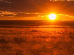 Дорнын тал нутгаар