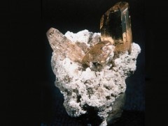 Дэлхийн хамгийн том молор 500 кг жинтэй