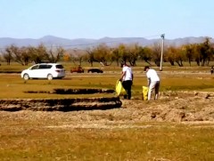 Соёл урлагийн ажилтнууд Туул голын эрэг дагуу хог цэвэрлэлээ