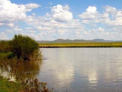 Хэрлэн голыг хамгаалах цогц ажил эхэллээ