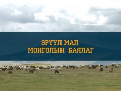  Эрүүл мал-Монголын баялаг