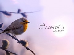 Мөрөөдөл хол байдаггүй