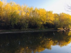 “Намрын ойд” тэмдэглэл