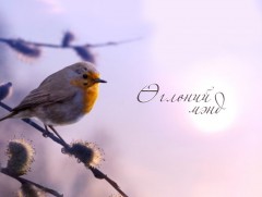 Зуны даалгавраа хийсэн үү