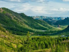 Ойн салбарт мэргэжлийн 7 мянган ажилчин хэрэгцээтэй байна