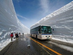 Японы алдарт уулын зам