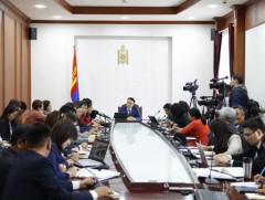 Засгийн газар, Хөгжлийн бэрхшээлтэй иргэдийн төрийн бус байгууллагууд хамтарсан ажлын хэсэг байгуу..